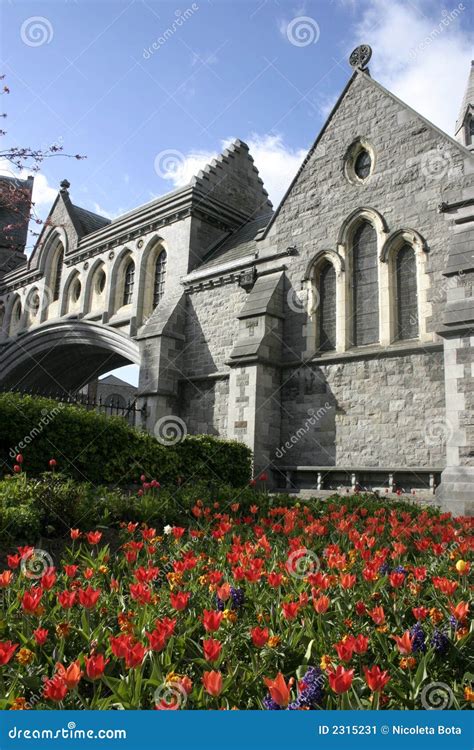 Catedral Dublin Da Igreja De Christ Imagem De Stock Imagem De