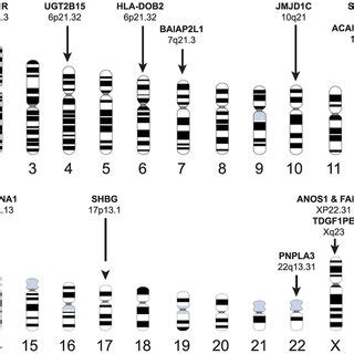 Chromosome idiogram map of gene variants that have significant ...