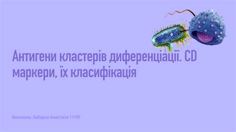 Антигени CD: класифікація та маркери
