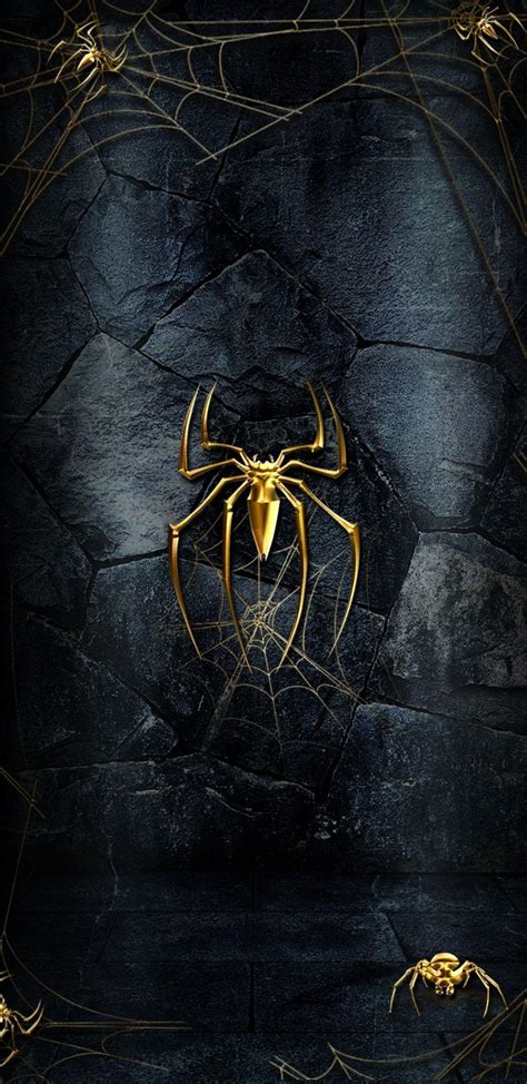 Spider Wallpapers Top Free Spider Backgrounds Wallpaperaccess