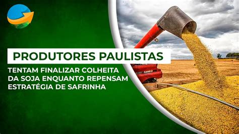 Produtores Paulistas Tentam Finalizar Colheita Da Soja Enquanto