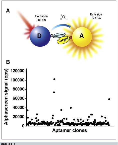 Figure 2 From Advances In Binder Identification And Characterisation