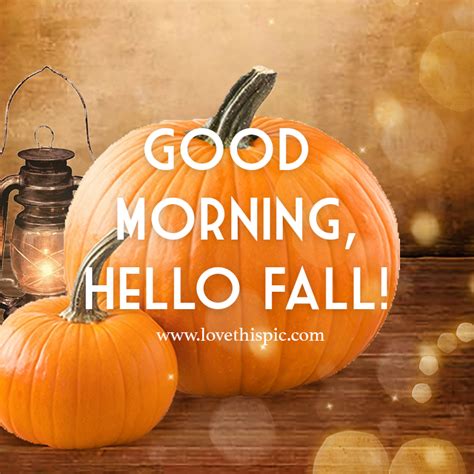 Orange Pumpkins Good Morning Hello Fall Pictures Photos And