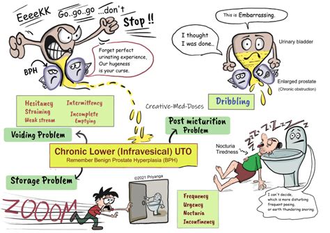 Lower Urinary Tract Obstruction Clinical Features Creative Med Doses