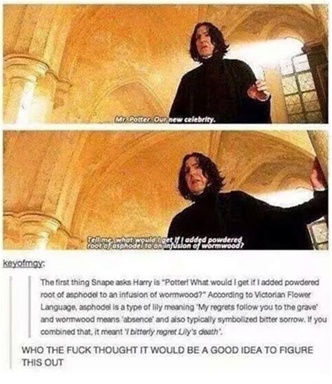 Pin by Georgia Bizal on Harry Potter - Snape | Harry potter tumblr ...