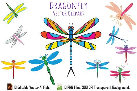 Dragonfly Sublimation Vector Clipart Graphic By Graphic Kdp Interior