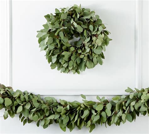 Fresh Silver Dollar Eucalyptus Wreath Garland Pottery Barn