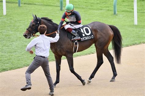 【ポプラs】鮫島駿「勝負根性ある」カラフルキューブが4勝目 ライブドアニュース