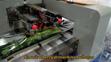 Flow Celery Packing Machine For Sale Youtube