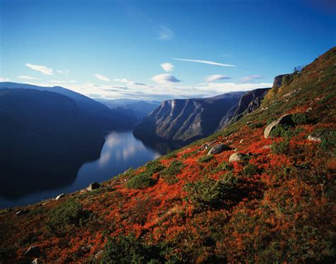 Fjorde Fjells und zauberhafte Küsten Standortreise Norwegen