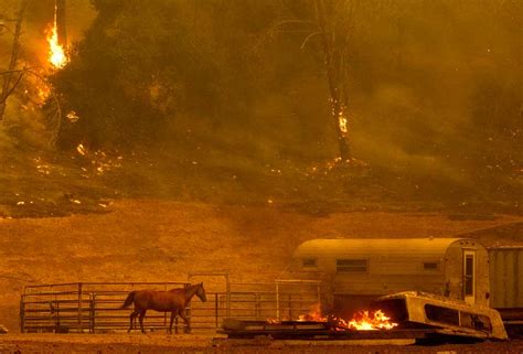 Devastación Y Miles De Evacuados Dejan Los Incendios Forestales En