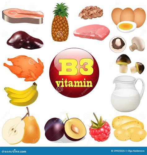 Of Three Vitamin B The Origin Of The Plant Foods In Stock Vector