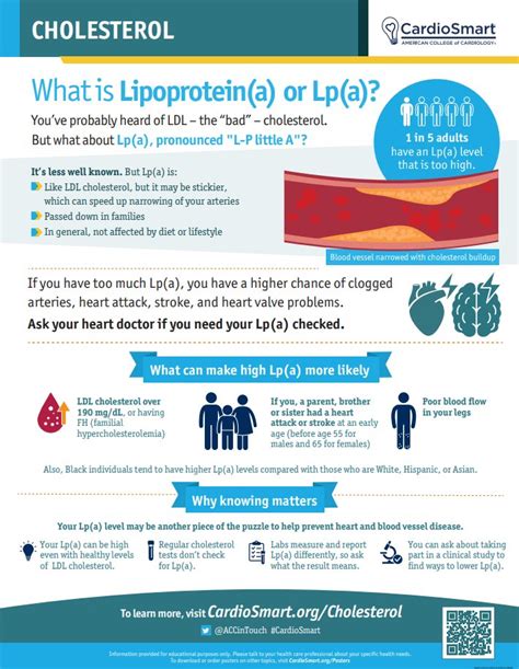 Why LDL Cholesterol Matters | Health Secrets