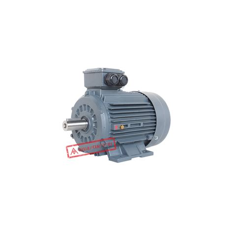 Alliance Motori A Y3H Series Three Phase Heavy Duty Range IE1 IE2 IE3