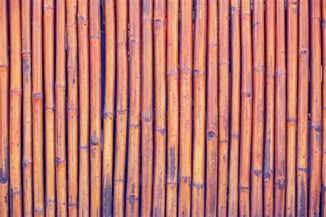 Bamboo Fence Or Wall Texture Background For Interior Or Exterior Stock