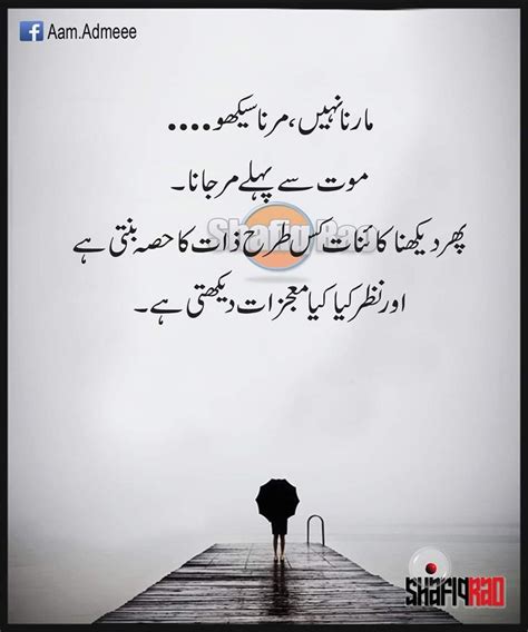 Pin By Soomal Mari On Urdu Beautiful Love Pictures True Quotes