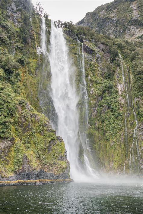 gateway  fiordland exploring milford sound  stop destination
