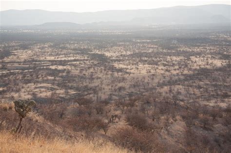 premium photo elevated view  landscape