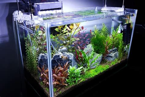 The Best 10 Gallon Fish Tanks & Aquariums in 2024 |Updated Review