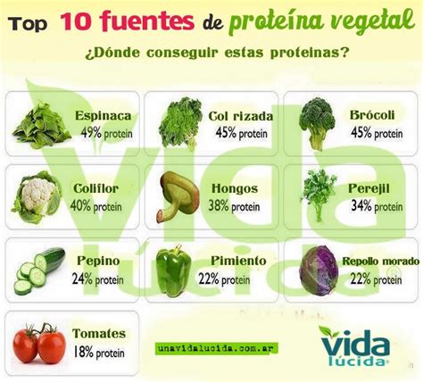 CNA 20 Alimentos VEGETALES ricos en PROTEÍNAS