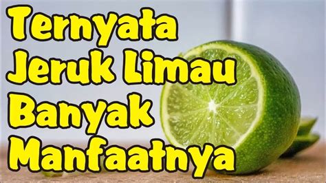 Manfaat Jeruk Limau Bagi Kesehatan Youtube