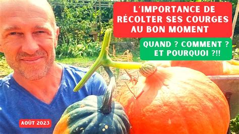 Comment R Colter Et Conserver Les Courges Butternuts Potimarrons