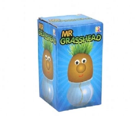 Keycraft Mr Grass Head Toy Py36 For Sale Online Ebay