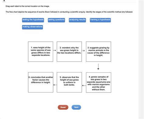 [solved] The Flow Chart Depicts The Sequence Of Events Alison Followed In Course Hero