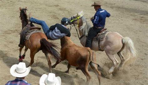 Rodeo Del Bueno Este Domingo En Sancti Sp Ritus Fotos Escambray