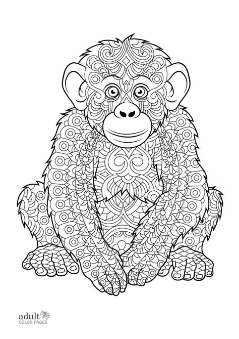 Free Printable Cute Ape Coloring Page For Adults