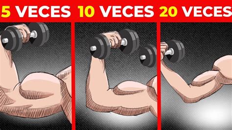 Cuantas Repeticiones Debes Hacer Para Ganar Masa Muscular Lo Que Dice