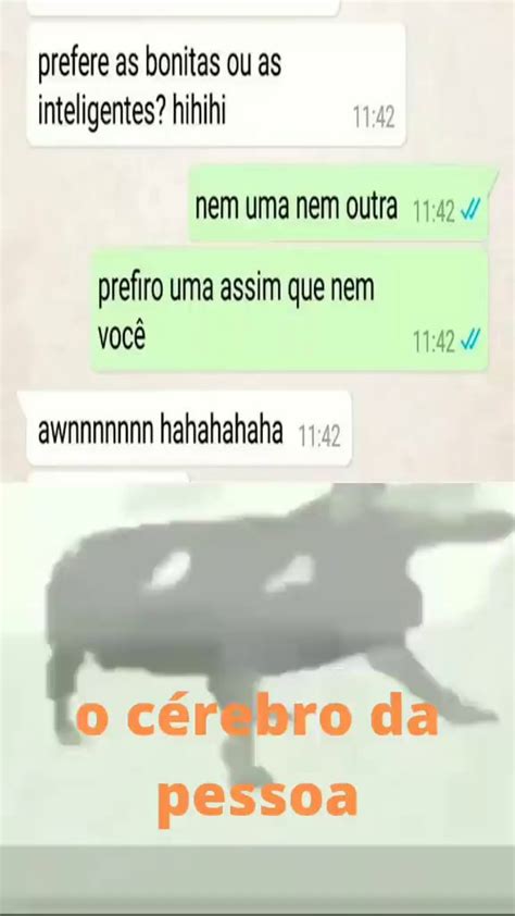 Prefere As Bonitas Ou As Inteligentes Hihihi Nem Uma Nem Outra Prefiro