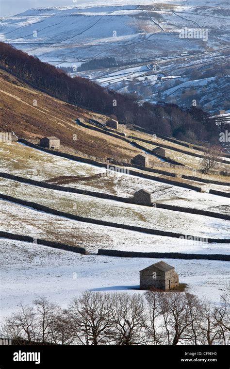 Upper Swaledale In Winter Yorkshire Dales National Park Stock Photo