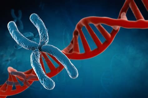 Premium Photo D Rendering Blue Chromosome With Dna Helix On Blue