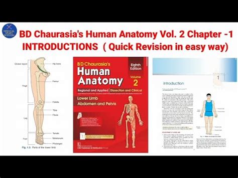 BD Chaurasia Human Anatomy Volume 2 Chapter 1 INTRODUCTION Quick