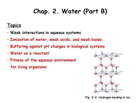 Advanced Biochemistry 高等生化學 Water 陳威戎 ppt download