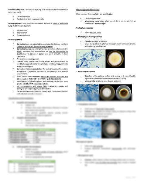 Solution Mycology Superficial And Cutaneous Mycoses Medical Technology