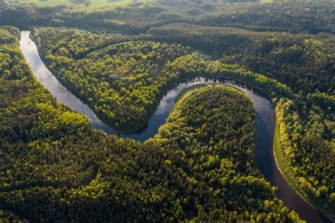 Menakjubkan 9 Hutan Terindah Di Dunia