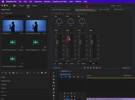 Easy Methods To Amplify Audio In Adobe Premiere Pro