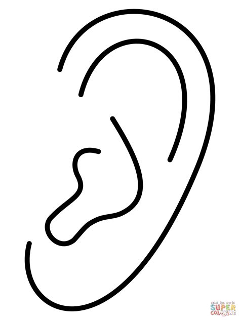 a black and white drawing of an ear