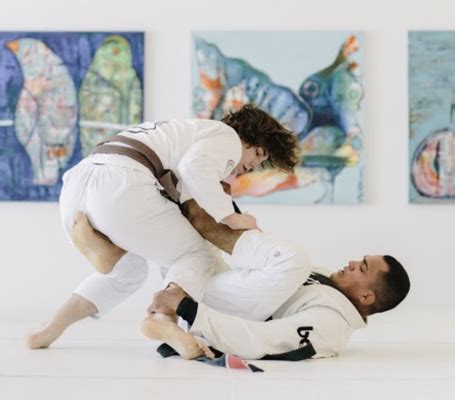 ROLL JIU JITSU ACADEMY Updated December 2024 39 Photos 286