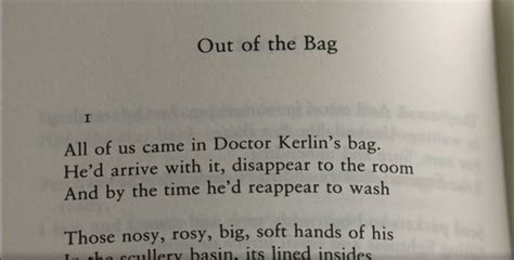 Out Of The Bag Seamus Heaney And The Music Of What Happens