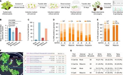 Mol Plant 浙江大学李正和课题组开发广谱rna病毒载体递送crisprcas核酸酶的新方法 知乎