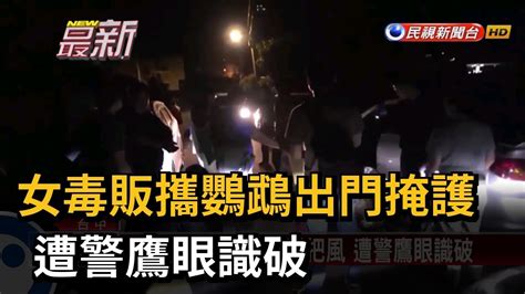 女毒販攜鸚鵡出門掩護 遭警鷹眼識破－民視新聞 Youtube