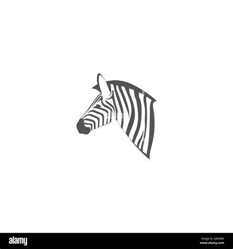 Zebra Logo Design Inspiration Zebra Logo On White Background Stock