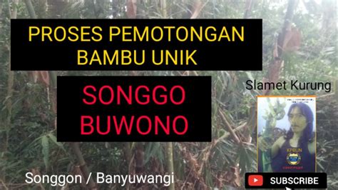 PROSES PEMOTONGAN BAMBU UNIK SONGGO BUWONO YouTube