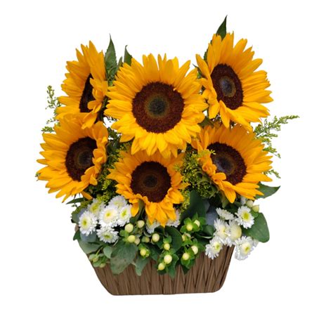 Arreglo De Girasoles Girasoles Florister A