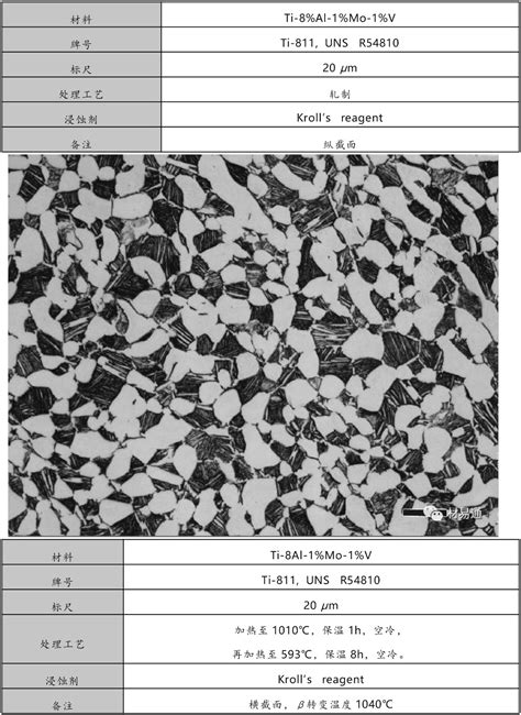 钛及钛合金高清金相图谱大全 赋耘检测技术（上海）有限公司