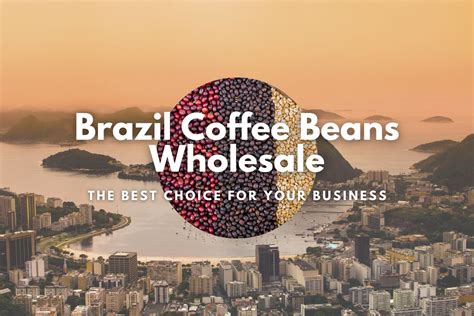 Brazil Coffee Beans Wholesale: The Best Choice for Your Business - Helena Coffee Vietnam