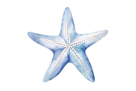 Blue Starfish Shells Beach Watercolor Graphic By Dreamy Art Creative